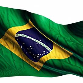 PROFESSIONAL TRANSLATION SERVICES, Professional Portuguese Translation Services