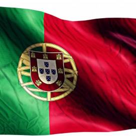 PROFESSIONAL TRANSLATION SERVICES, Professional Portuguese Translation Services