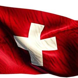 PROFESSIONAL TRANSLATION SERVICES, Professional Swiss German Translation Services